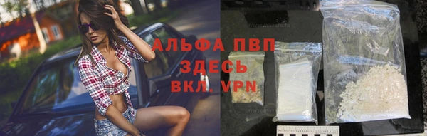 хмурый Нефтекумск
