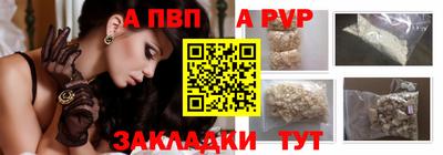 гашик Донской