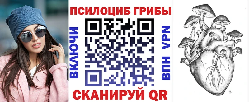 Галлюциногенные грибы MAGIC MUSHROOMS  сайты даркнета официальный сайт  Джанкой  где купить наркоту 