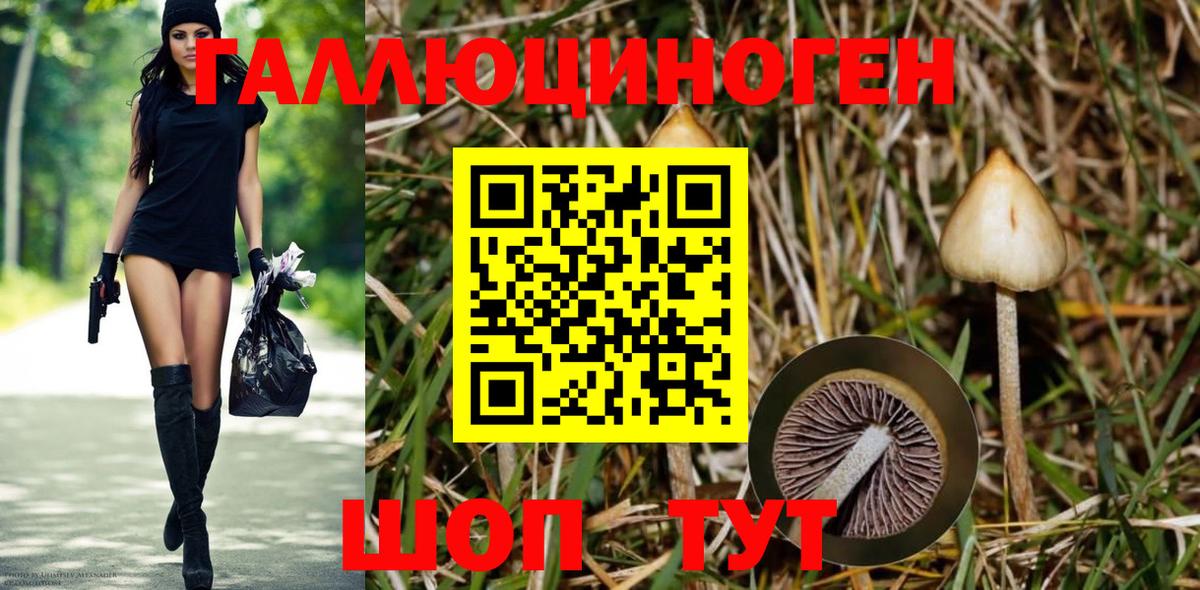 Галлюциногенные грибы прущие грибы Джанкой