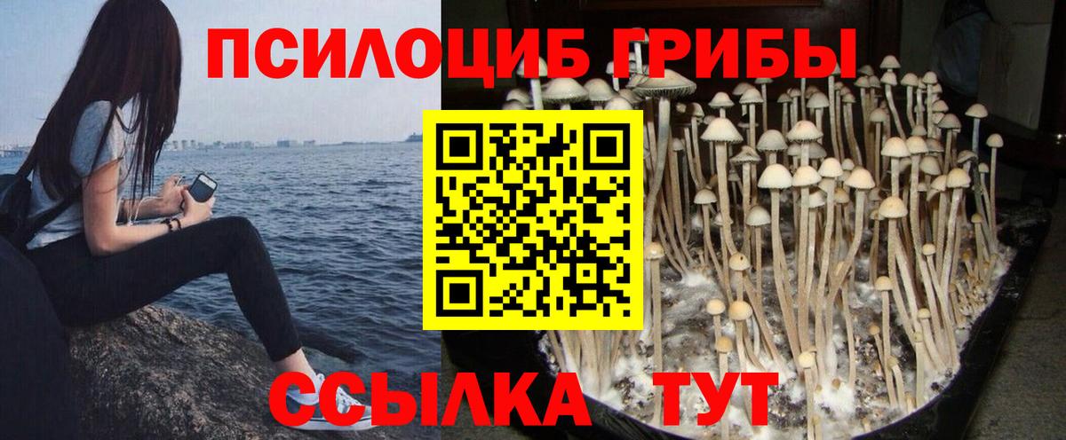 Псилоцибиновые грибы GOLDEN TEACHER  Джанкой 