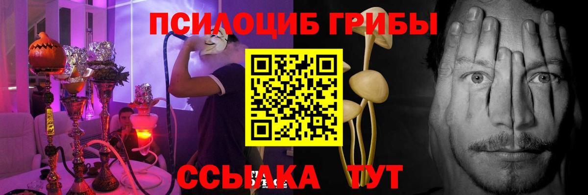 Галлюциногенные грибы Psilocybe  Вход с VPN  хочу   Джанкой  Галлюциногенные грибы ЛСД 